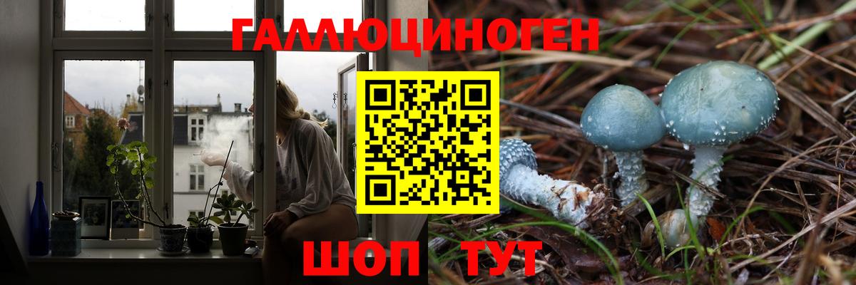 купить наркоту  Псилоцибиновые грибы мицелий  Вход с VPN  Сосновый Бор 