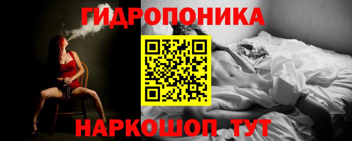 Канабис ГИДРОПОН Сосновый Бор